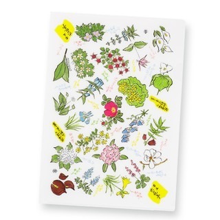 ✽DDJP小舖✽ 日本六花亭 花樣文具組  筆記本 自動鉛筆  原子筆  文件夾 紙膠帶  六花亭文具 花柄文具組 周邊-細節圖6