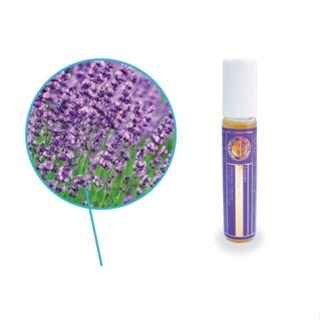 ＊DDJP小舖＊日本北海道 HerbHillFurano 富良野限定 薰衣草精油 7ml 薰衣草滾珠精油 身體精油 現貨-細節圖2