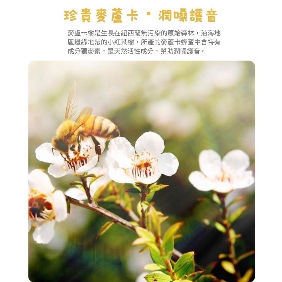 康維他 紐西蘭 麥蘆卡蜂蜜潤喉糖 檸檬/薄荷/橄欖葉/兒童棒棒糖 180g/500g/112.5g【風行小舖】-細節圖6