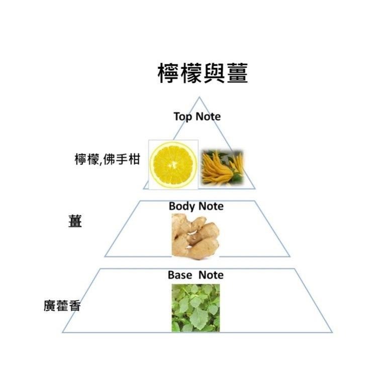 DUSA 度莎 亮澤保濕精油洗髮精 2000ML  家庭號洗髮精 不含矽靈  洗髮精【風行小舖】-細節圖9