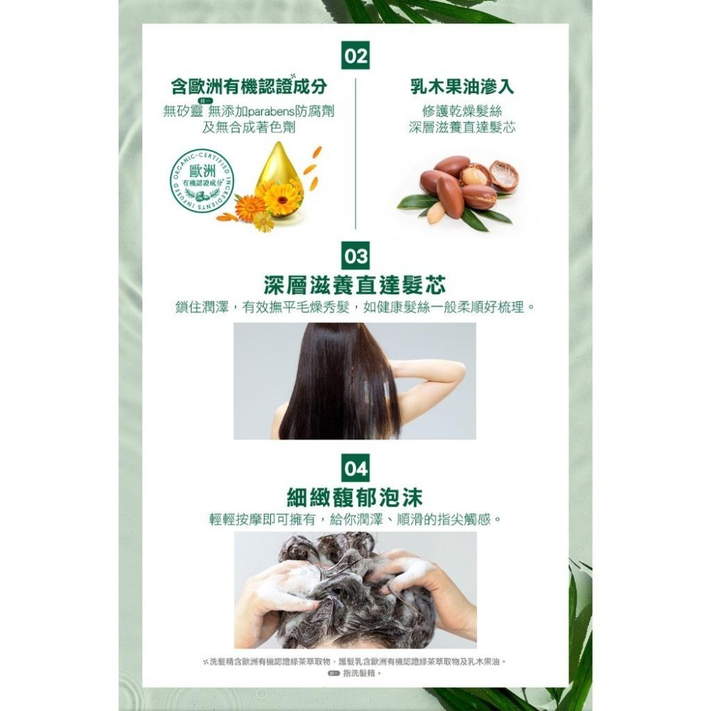 Timotei 蒂沐蝶 台灣公司貨 植萃洗髮精500ml/森感洗髮精450ml【風行小舖】-細節圖7