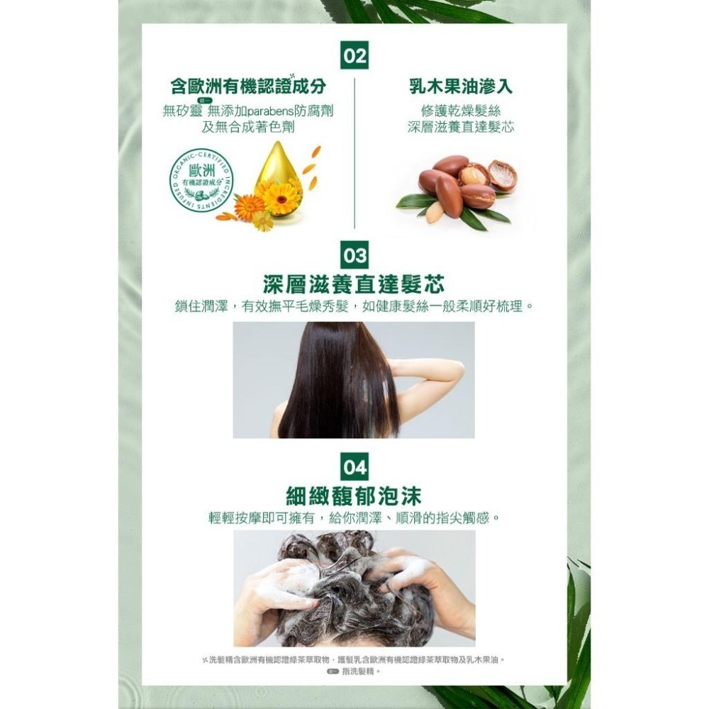 Timotei 蒂沐蝶 台灣公司貨 植萃洗髮精500ml/森感洗髮精450ml【風行小舖】-細節圖7