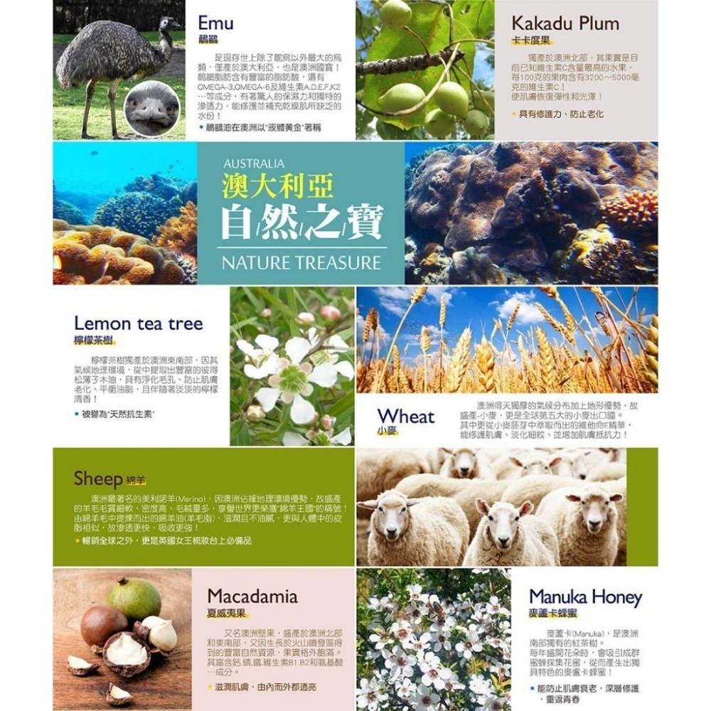 G&M 台灣公司貨 澳洲綿羊霜 250g 1kg (酪梨/維他命E/蜂蜜羊奶/鴯鶓)【風行小舖】-細節圖6