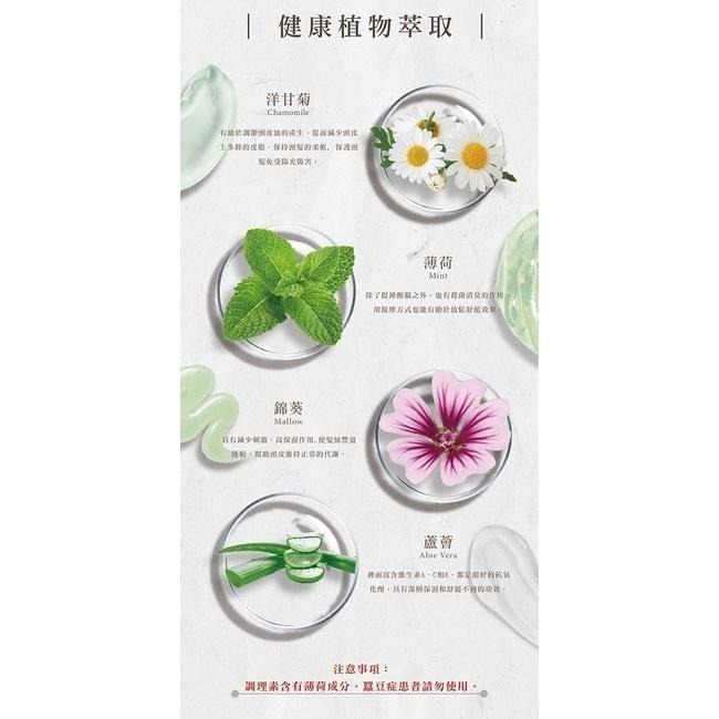 AMIDA 葉綠素洗護組 葉綠素洗髮精500ml + 葉綠素頭皮髮調理素1000ml  【風行小舖】-細節圖5