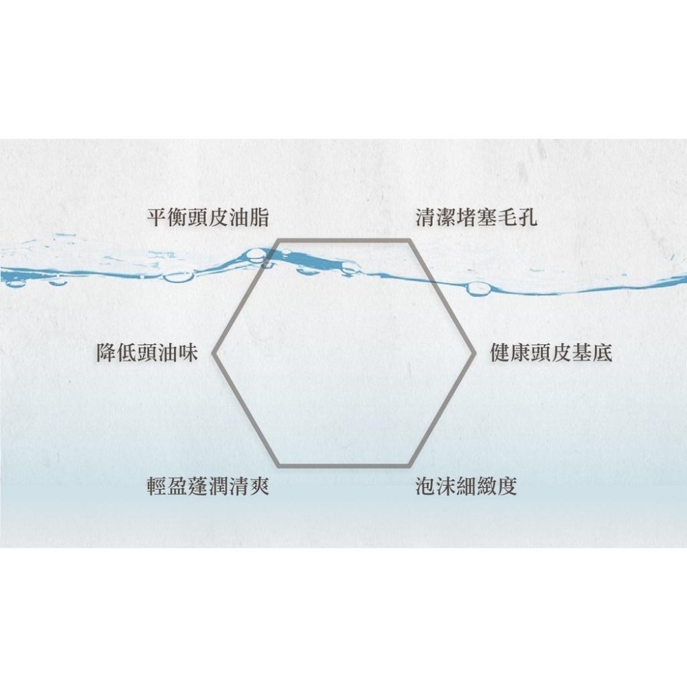 AMIDA 葉綠素洗護組 葉綠素洗髮精500ml + 葉綠素頭皮髮調理素1000ml  【風行小舖】-細節圖6