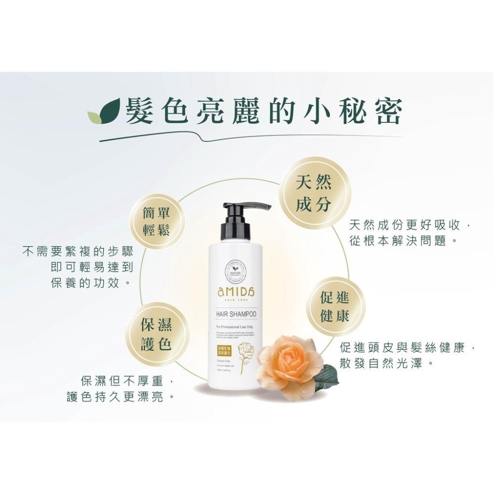 AMIDA植萃系列洗髮精系列 500ML  綠茶控油養髮 香檳玫瑰 積雪草滋養毛囊 雪絨花豐盈修護【風行小舖】-細節圖4