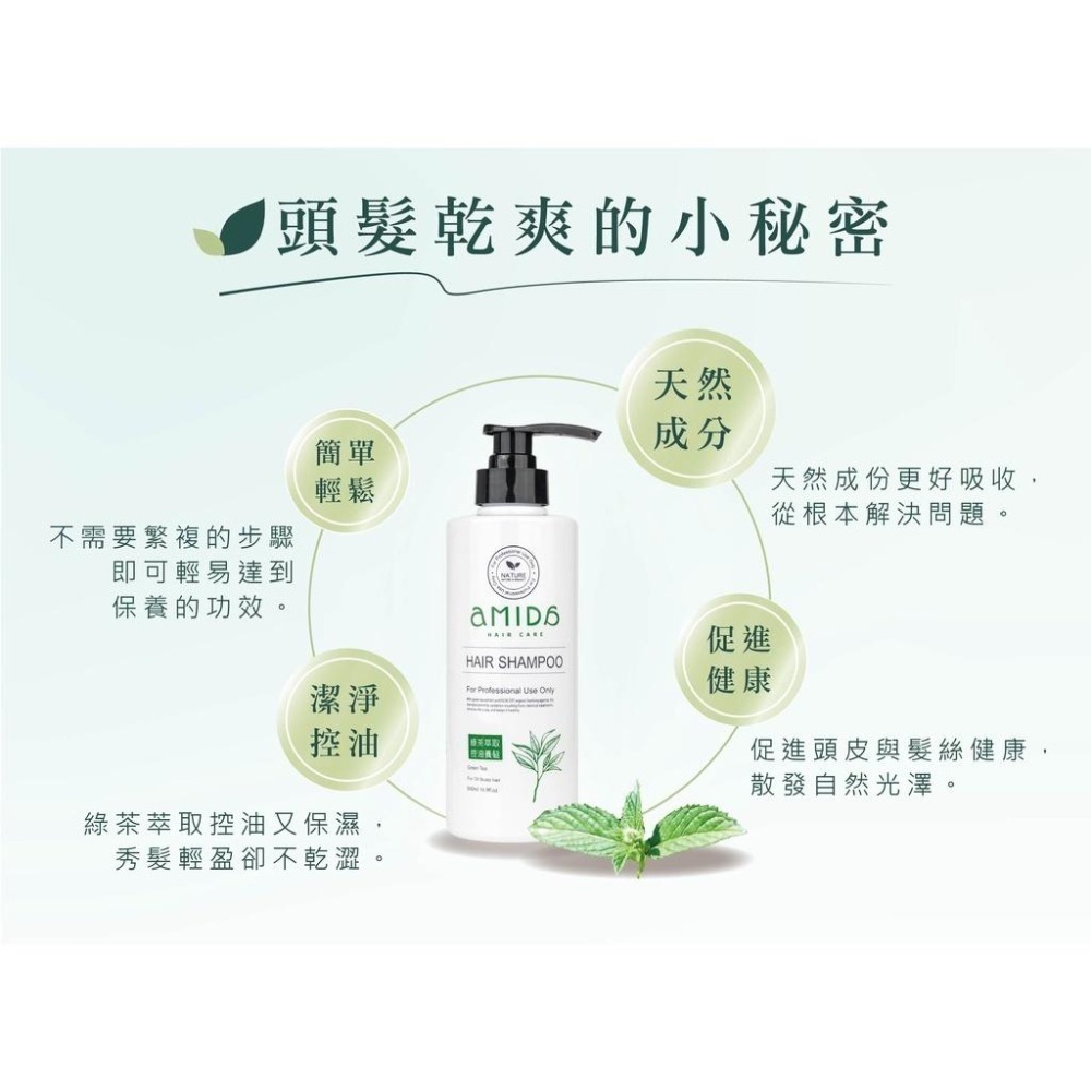 AMIDA植萃系列洗髮精系列 500ML  綠茶控油養髮 香檳玫瑰 積雪草滋養毛囊 雪絨花豐盈修護【風行小舖】-細節圖5
