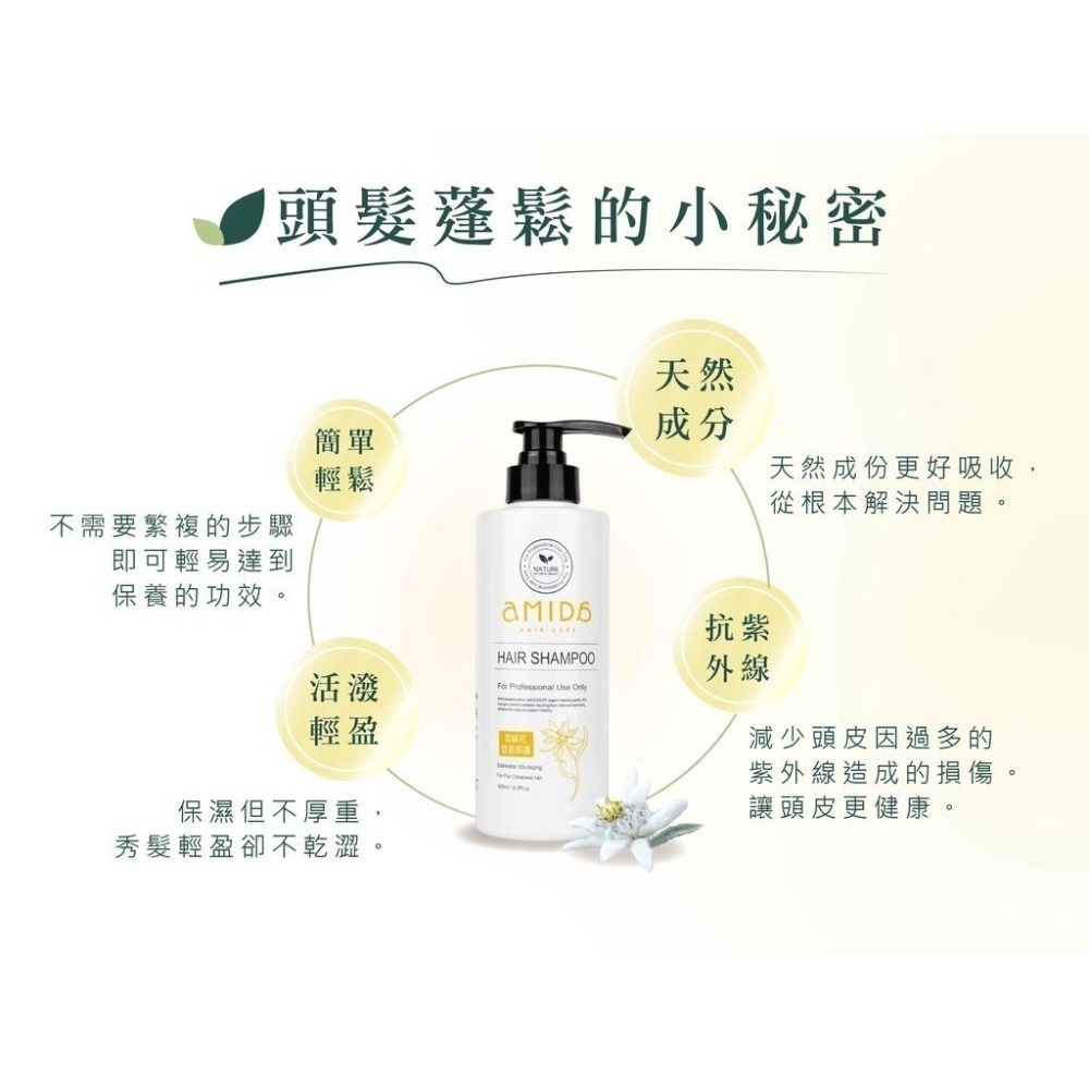 AMIDA植萃系列洗髮精系列 500ML  綠茶控油養髮 香檳玫瑰 積雪草滋養毛囊 雪絨花豐盈修護【風行小舖】-細節圖6