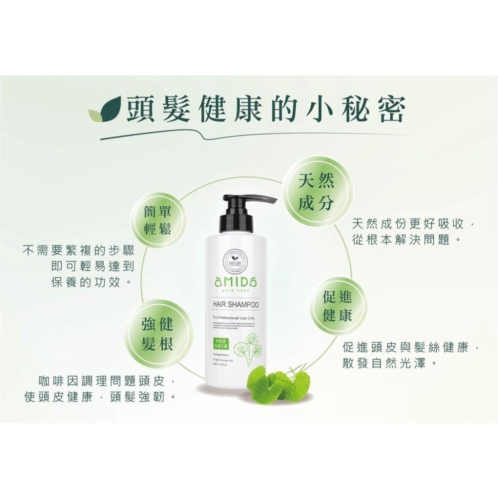 AMIDA植萃系列洗髮精系列 500ML  綠茶控油養髮 香檳玫瑰 積雪草滋養毛囊 雪絨花豐盈修護【風行小舖】-細節圖7