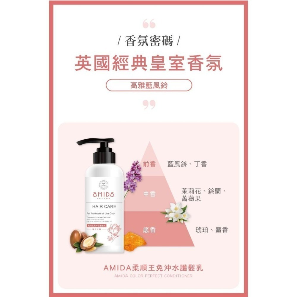 AMIDA 染後護色洗髮精 500ml/柔順王免沖水護髮乳 360ml【風行小舖】-細節圖10