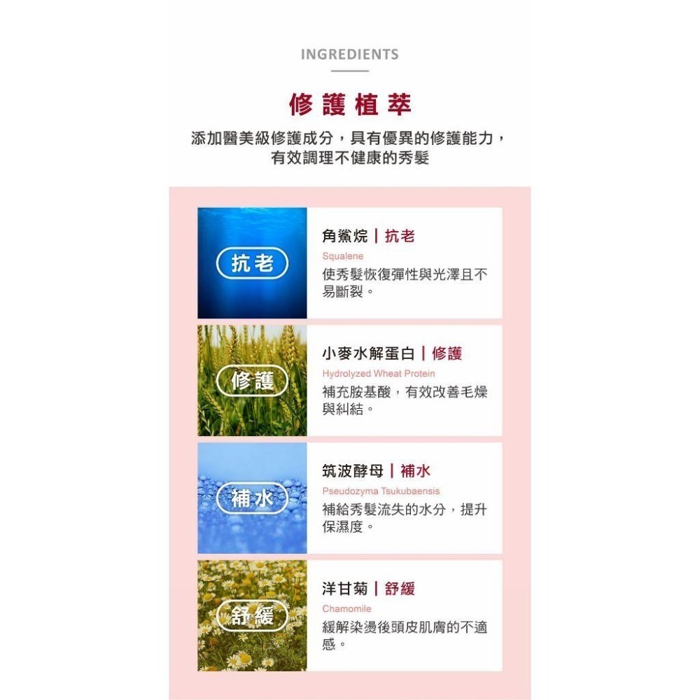 AMIDA 蜜拉系列 胺基酸洗髮精 染燙修護適用 1000ml 三入家庭組【風行小舖】-細節圖7