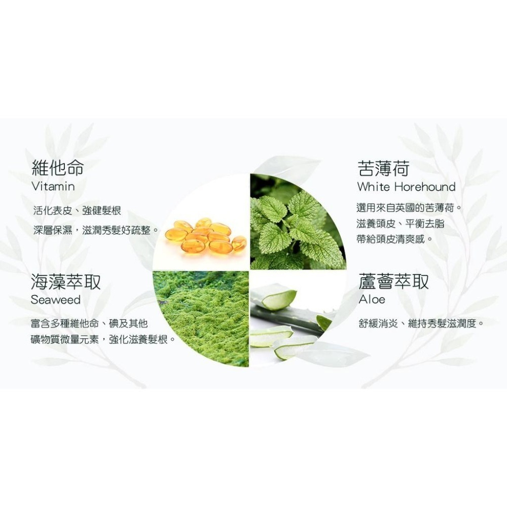 AMIDA 平衡控油洗 髮精 1000ml  【風行小舖】 1000ml 三入家庭組-細節圖6