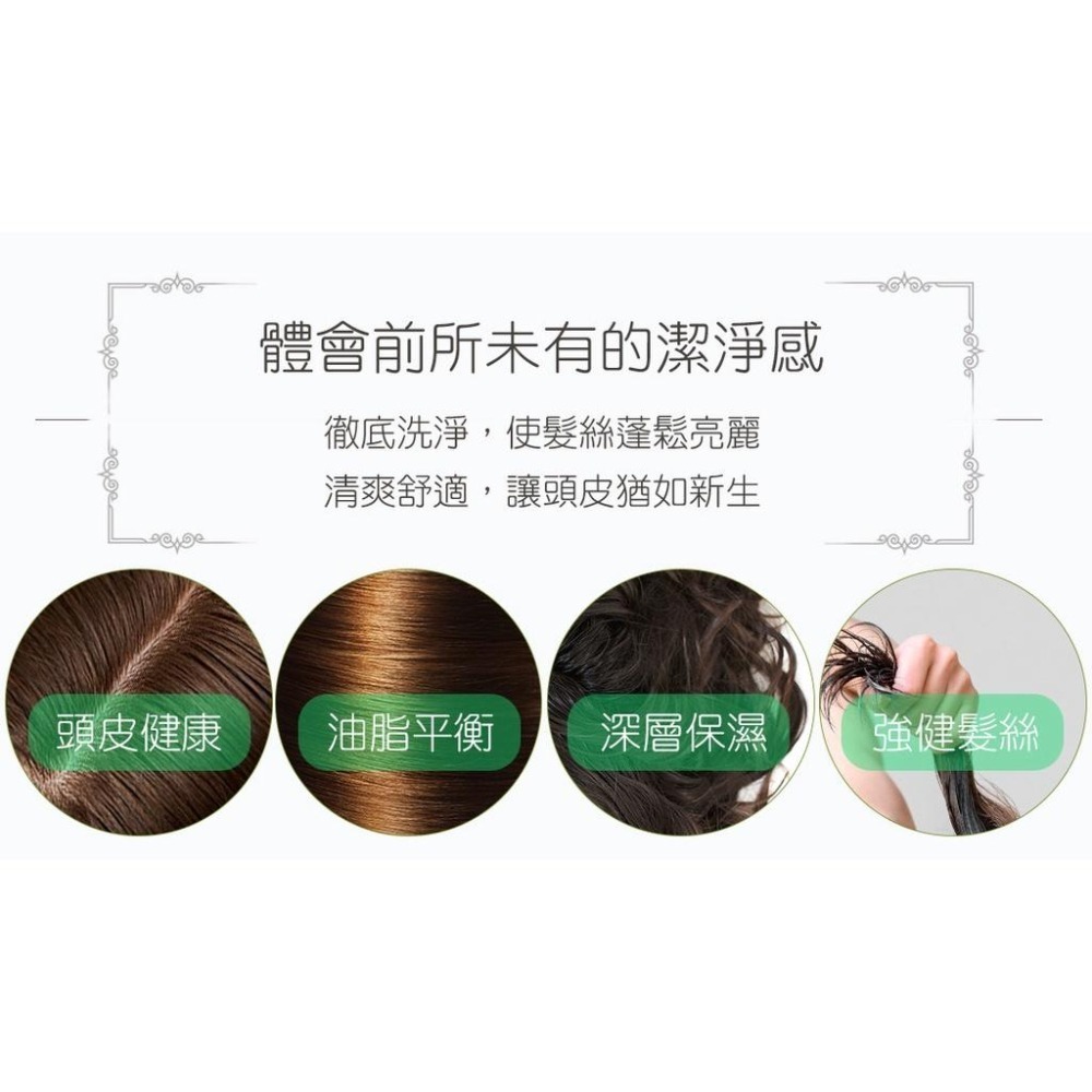 AMIDA 平衡控油洗 髮精 1000ml  【風行小舖】 1000ml 三入家庭組-細節圖8