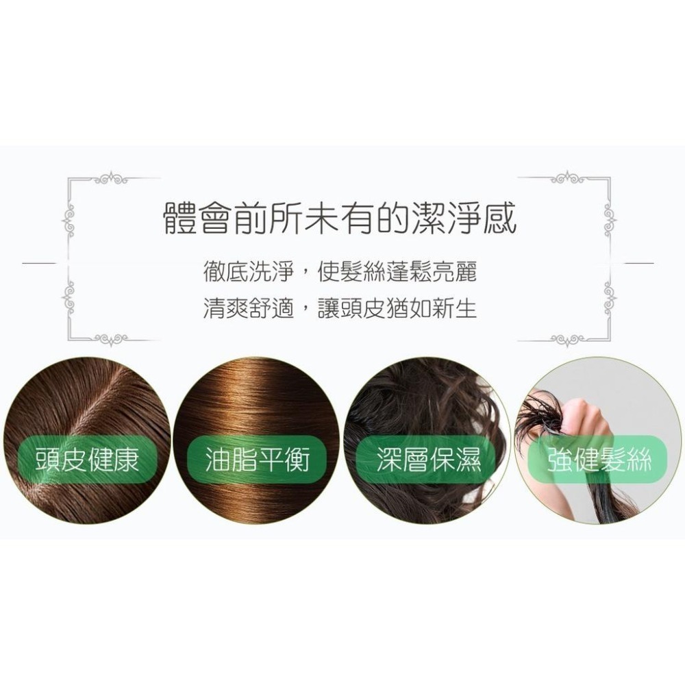 AMIDA 平衡控油洗 髮精 1000ml  【風行小舖】 1000ml 三入家庭組-細節圖7