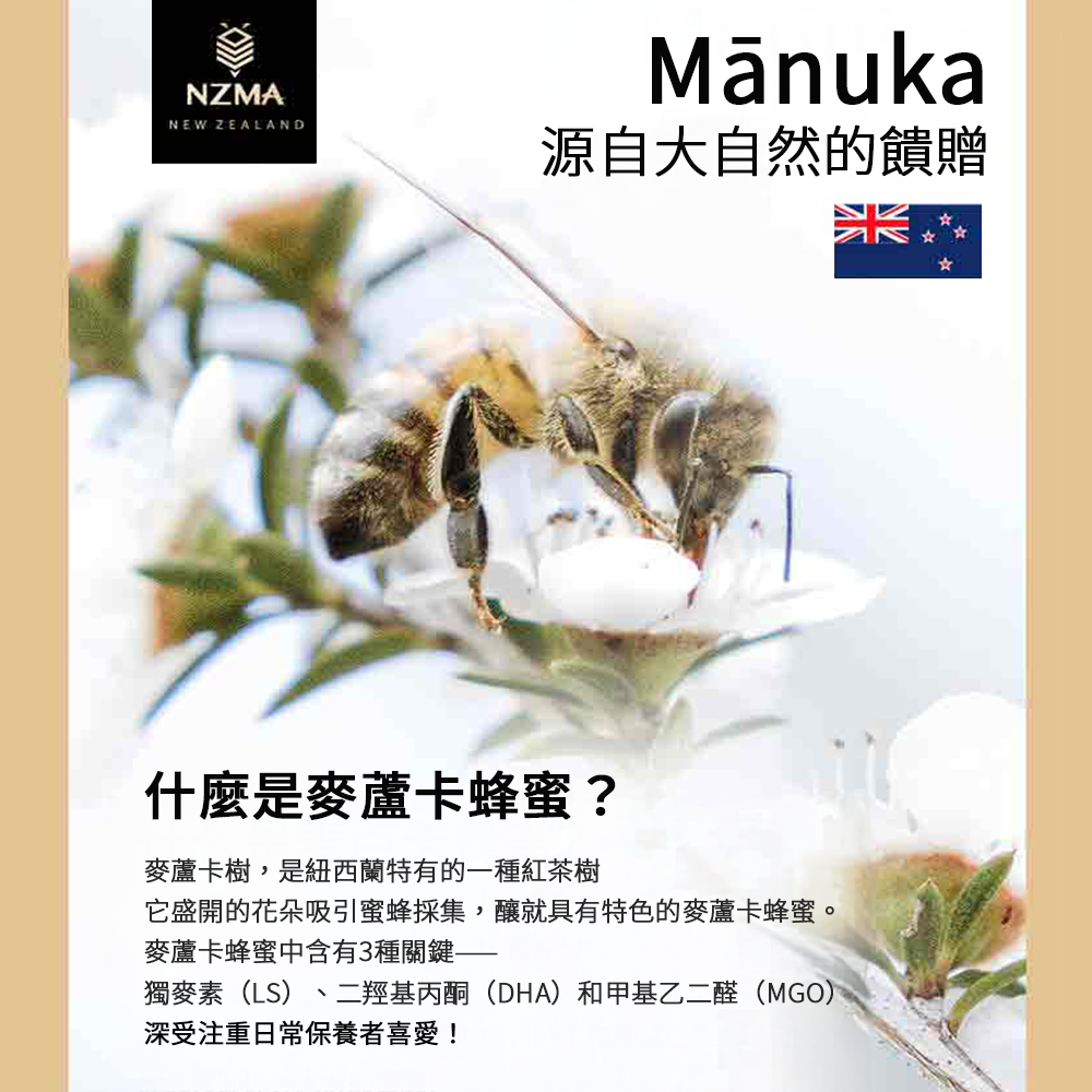 NZMA 紐西蘭 麥蘆卡蜂蜜 蜂蜜 UMF5+/10+15+ (MGO 83+/263+/514+) 罐裝/隨身包-細節圖4