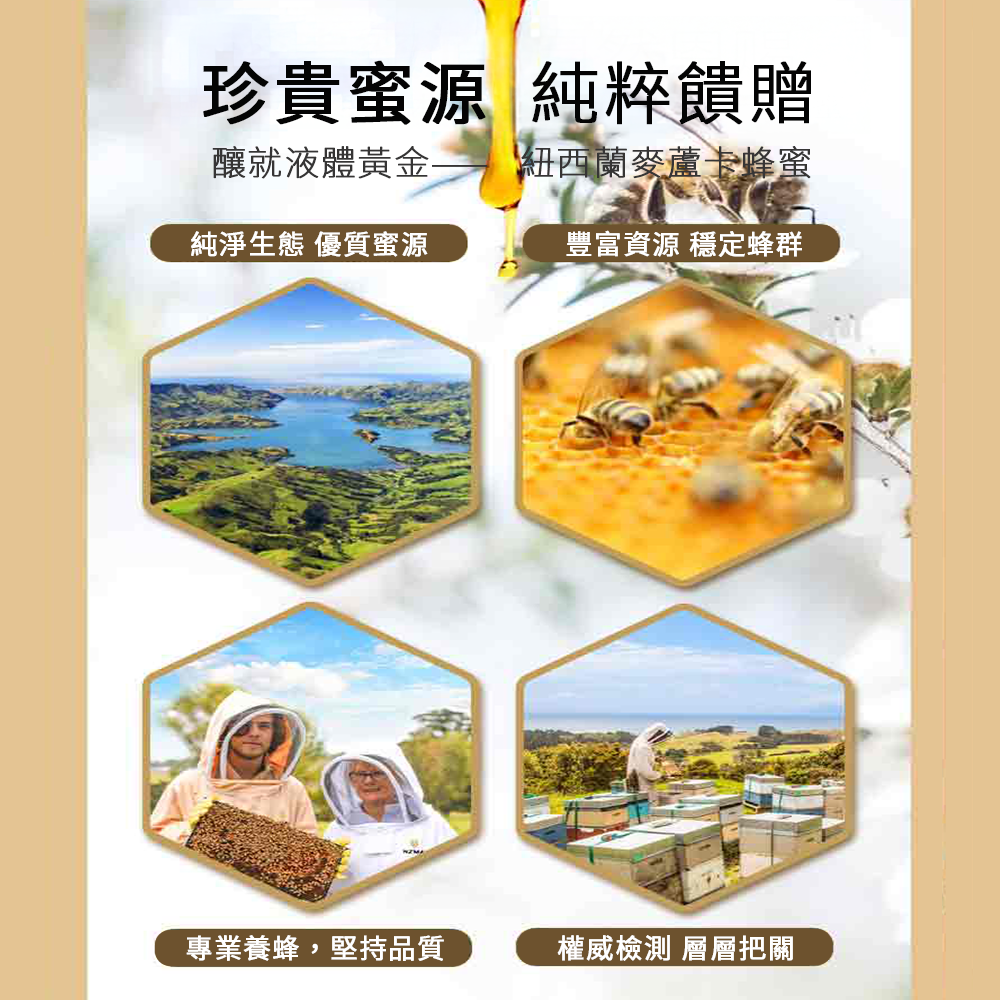 NZMA 紐西蘭 麥蘆卡蜂蜜 蜂蜜 UMF5+/10+15+ (MGO 83+/263+/514+) 罐裝/隨身包-細節圖6
