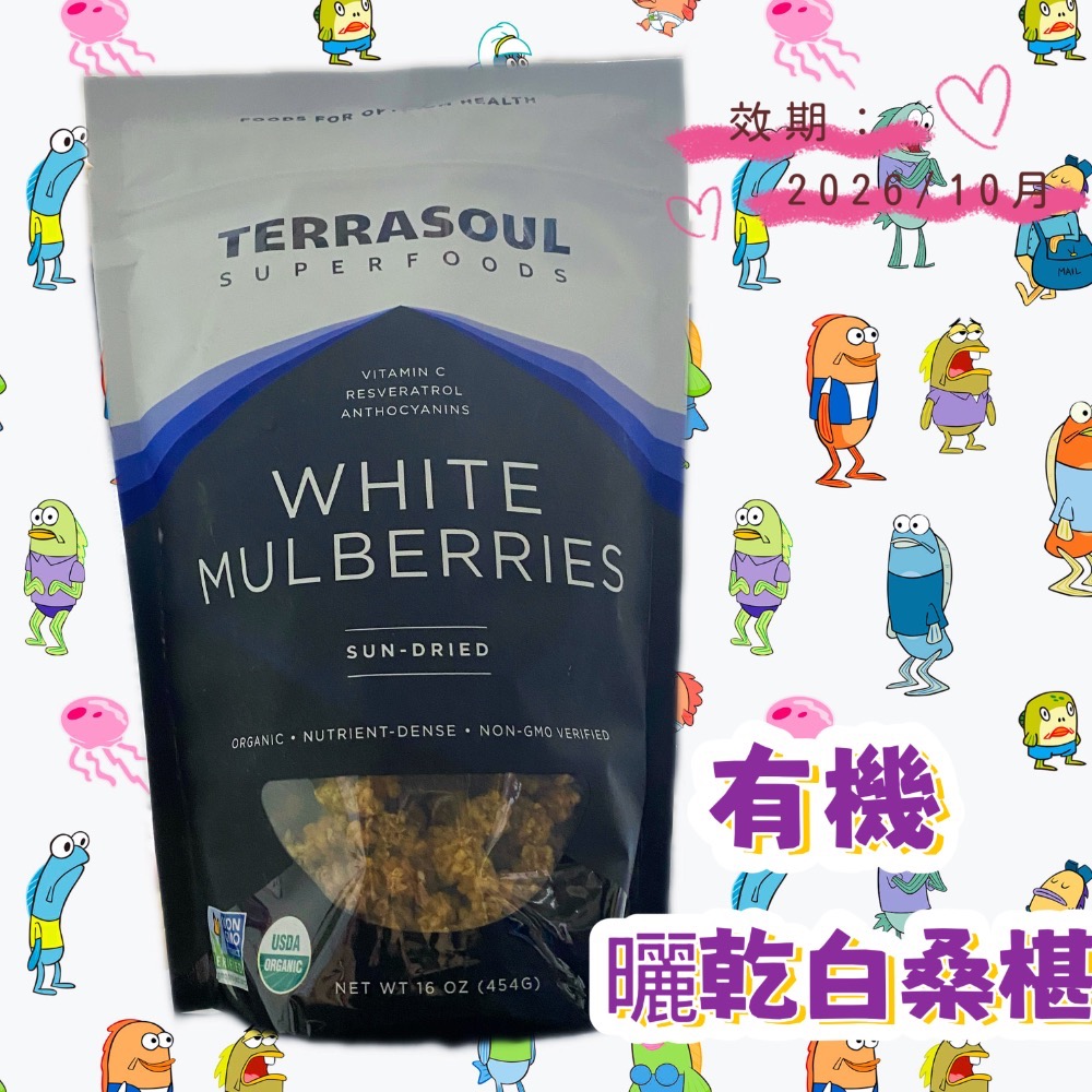 TERRASOUL 有機白桑椹乾-細節圖2