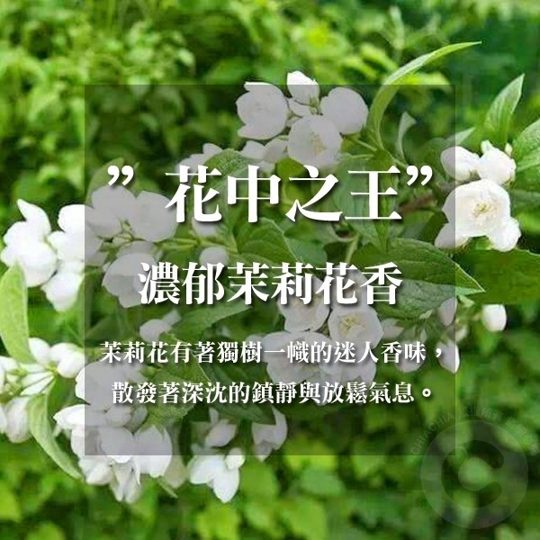 台灣製造 歐式茉莉花香精油皂 禮盒 80g-細節圖3