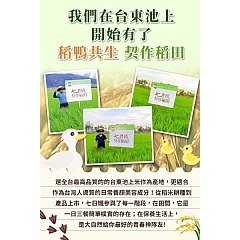 【家家生醫】七日孅 玄米煎茶(7包/盒)-細節圖2