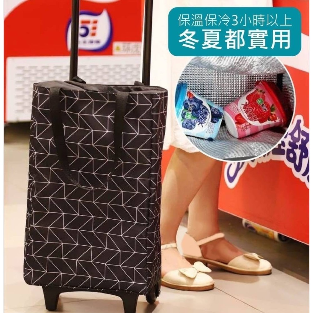 雙層防水保溫拉桿購物車-細節圖2