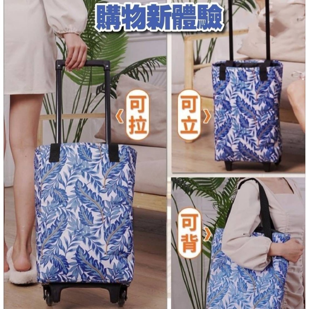 雙層防水保溫拉桿購物車-細節圖4