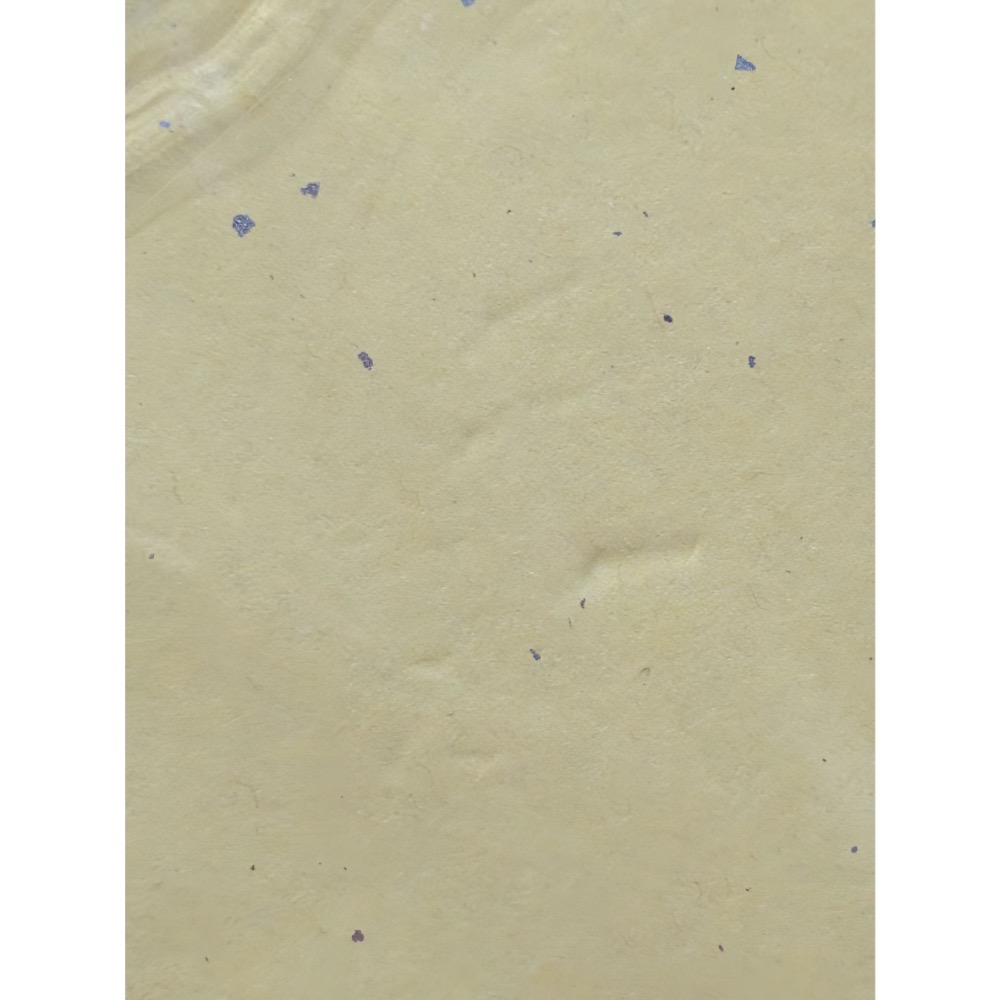 鬼滅之刃 鬼滅 日版 鬼滅 作者 原畫展 迷你色紙 遊郭篇-細節圖2