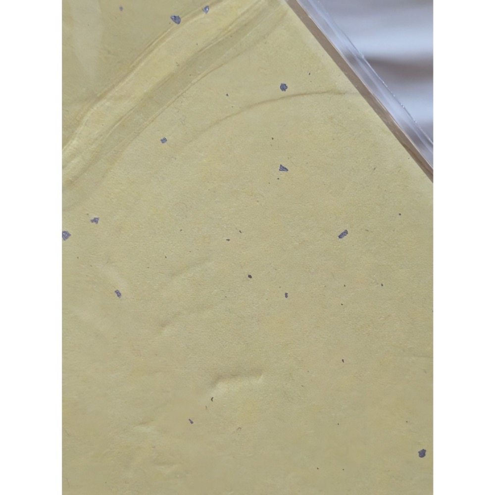 鬼滅之刃 鬼滅 日版 鬼滅 作者 原畫展 迷你色紙 遊郭篇-細節圖3