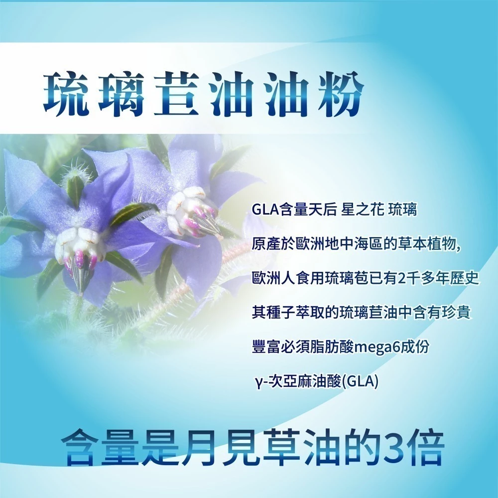 【明山玫伊 】呀口樂PLUS 口含錠 30錠/盒 EXO-CGF™ 小球藻 桑黃菌絲體-細節圖4