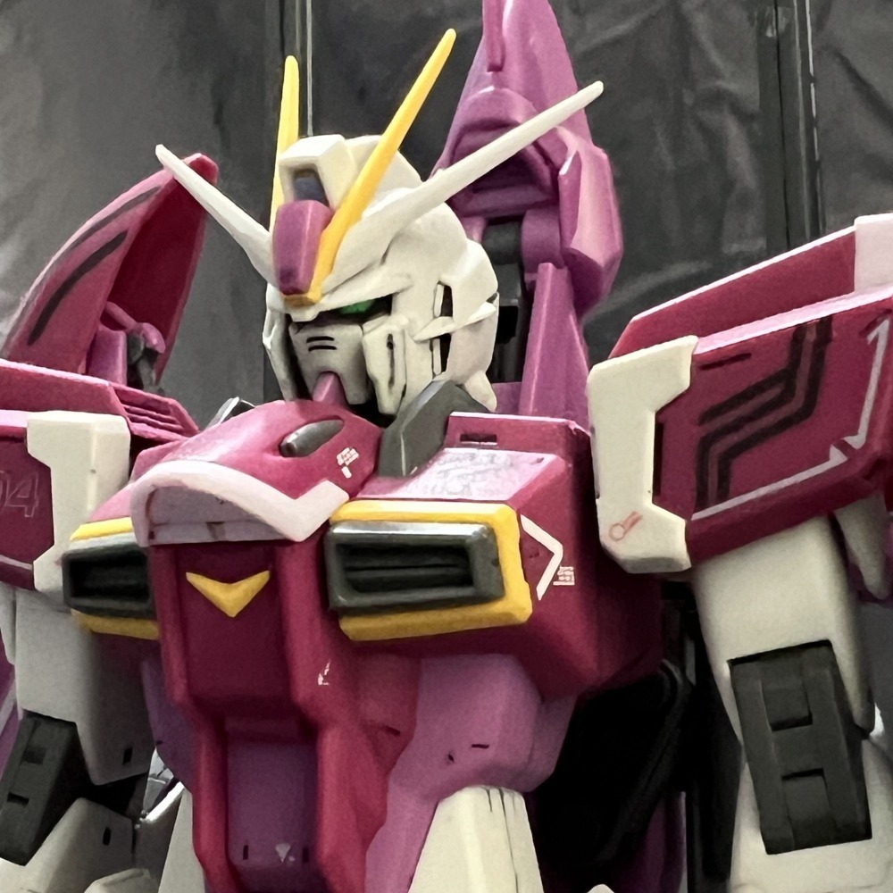 1/100 MG SEED/DESTINY IMPULSE GUNDAM R(REGENES) 命運脈衝鋼彈 手工完成品-細節圖7