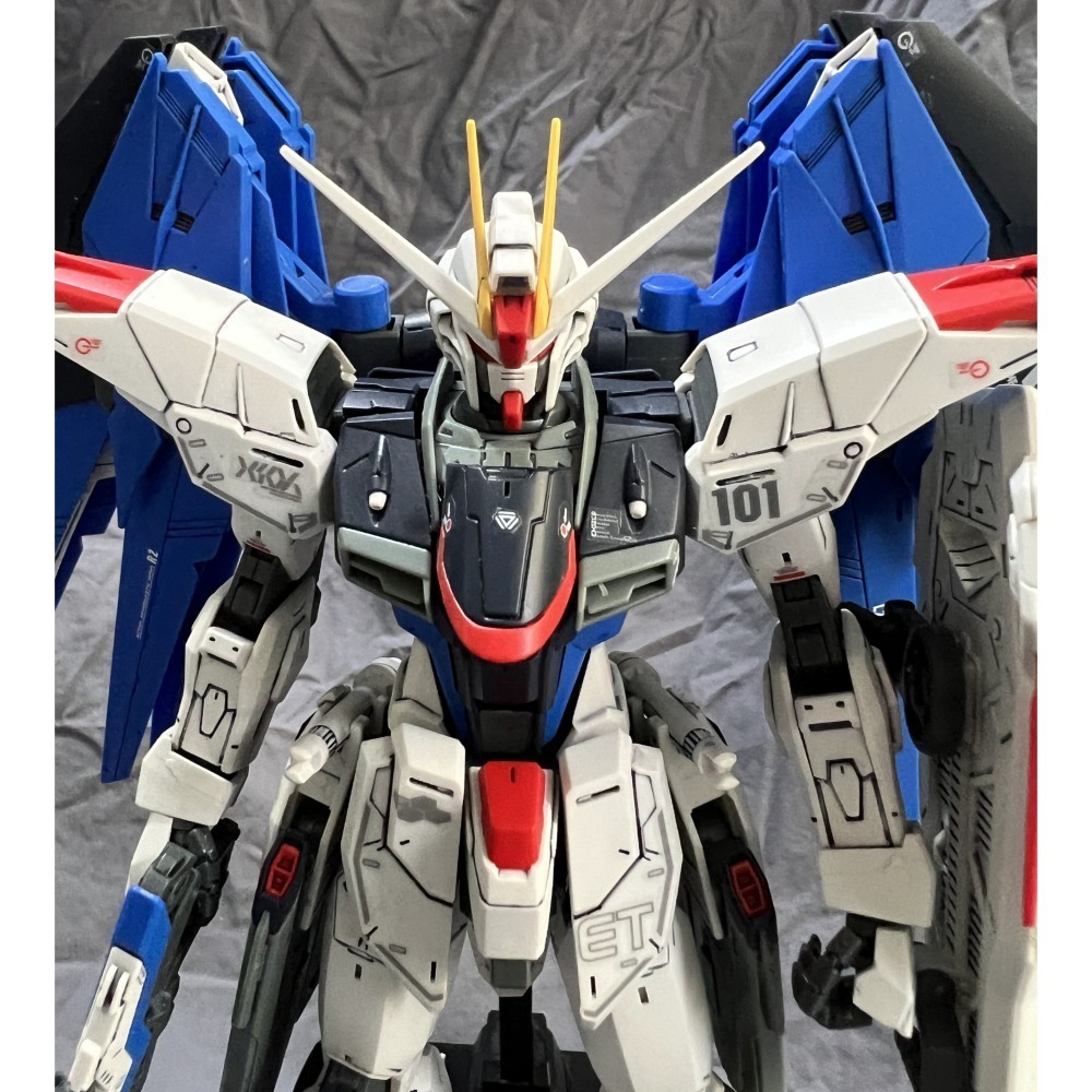 1/100 MG 機動戰士 自由鋼彈GMF-X10A FREEDOM GUNDAM V2.0 SEED DESTINY-細節圖2