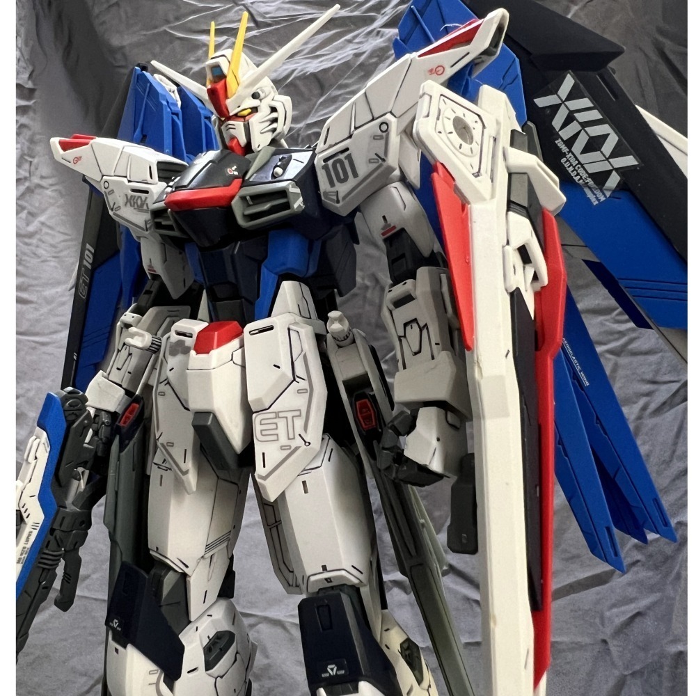 1/100 MG 機動戰士 自由鋼彈GMF-X10A FREEDOM GUNDAM V2.0 SEED DESTINY-細節圖5