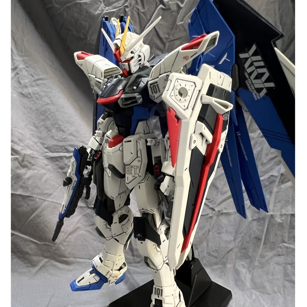 1/100 MG 機動戰士 自由鋼彈GMF-X10A FREEDOM GUNDAM V2.0 SEED DESTINY-細節圖8