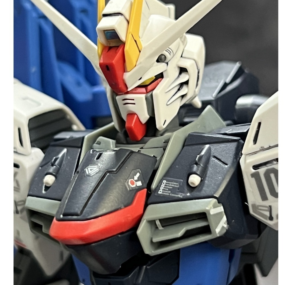 1/100 MG 機動戰士 自由鋼彈GMF-X10A FREEDOM GUNDAM V2.0 SEED DESTINY-細節圖10