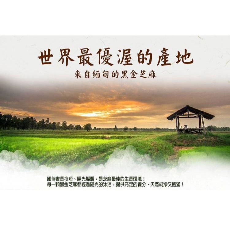黑芝麻糕-細節圖3