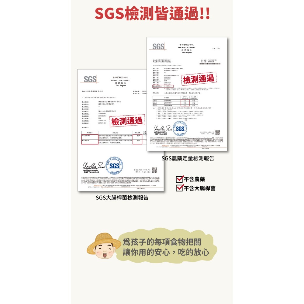 【韓爸田園日記】寶寶乾水果片系列 水梨 蘋果 草莓 蜜柑 藍莓 天然 無添加糖 韓國產地 急速冷凍乾燥-細節圖10