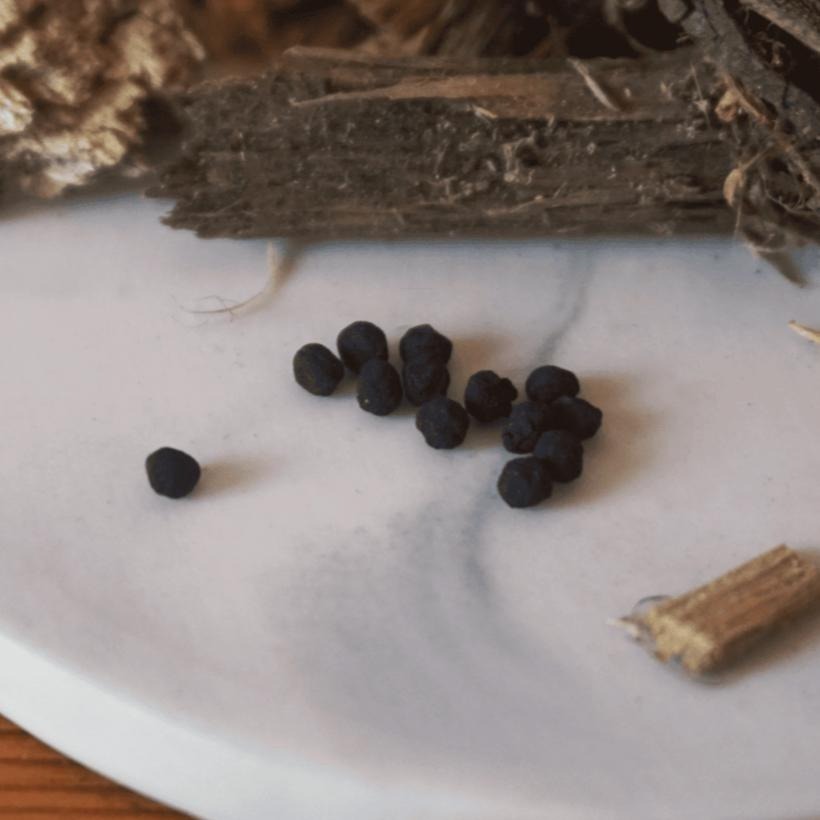 【Eco Sprint 奔奔】銀淨炭｜環保除臭粒｜貓砂除臭神器-細節圖3