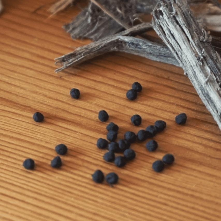 【Eco Sprint 奔奔】銀淨炭｜環保除臭粒｜貓砂除臭神器-細節圖4