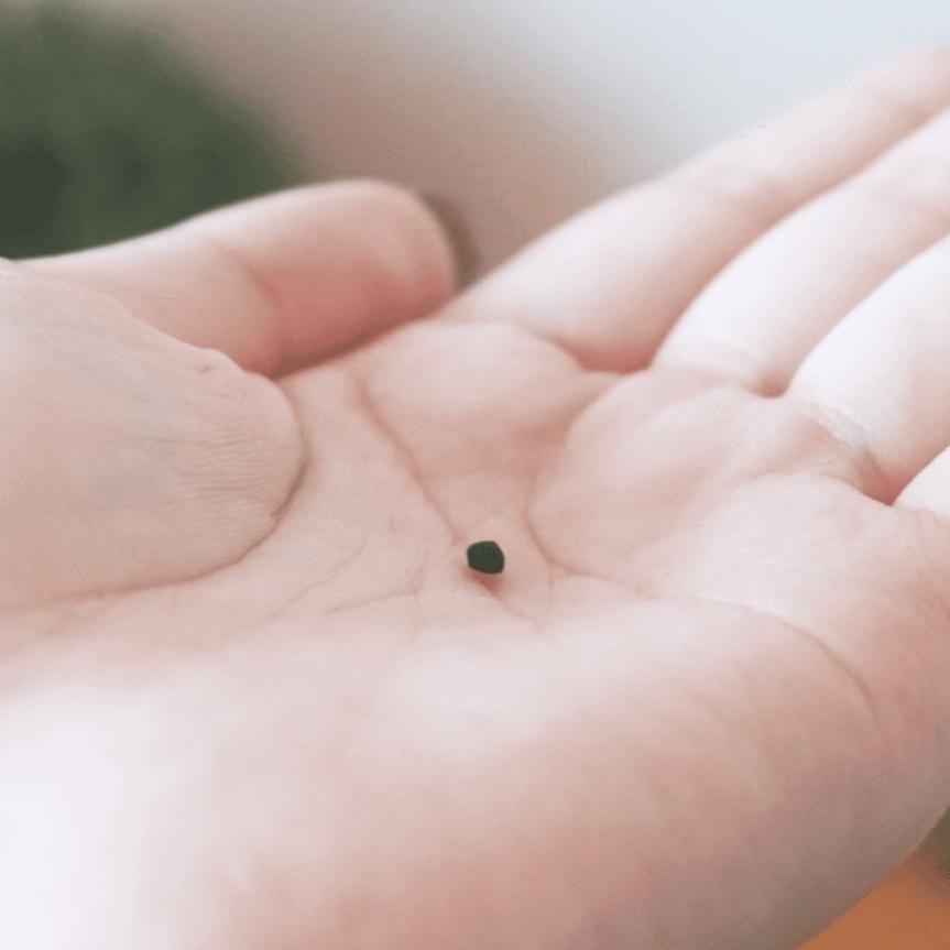 【Eco Sprint 奔奔】銀淨炭｜環保除臭粒｜貓砂除臭神器-細節圖5