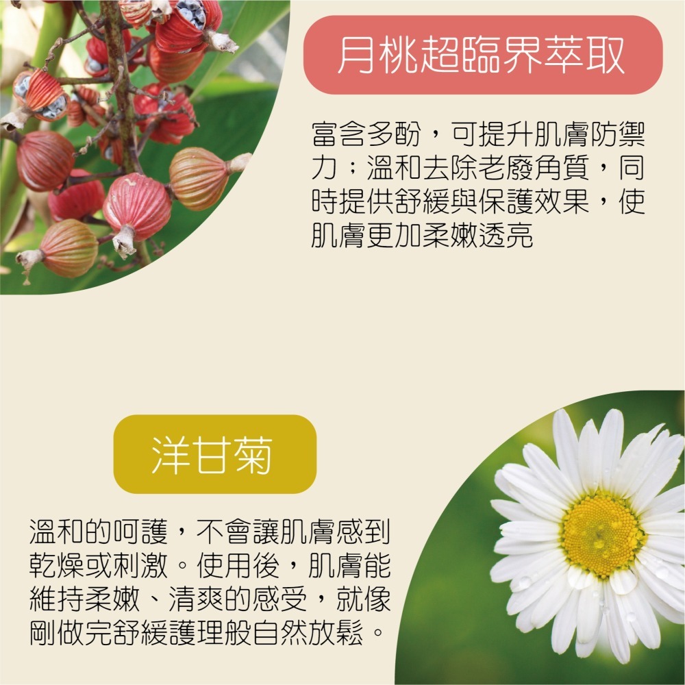 【官方直營】月桃去角質凝露｜深層清潔 溫和去角質-細節圖2