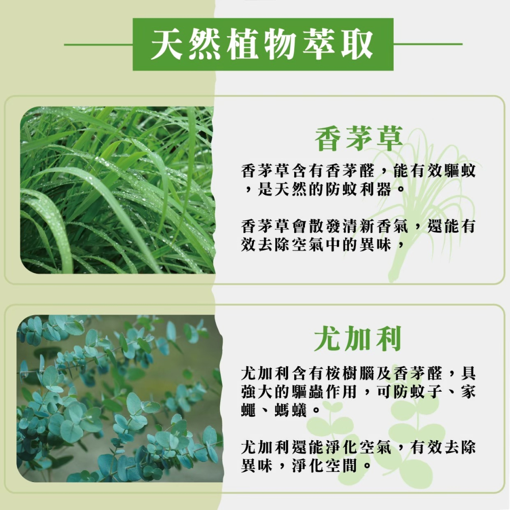 [官方直營]月桃故事 香茅 日本文連草 防蚊膏  驅蚊芳香劑(六顆優惠)-細節圖4