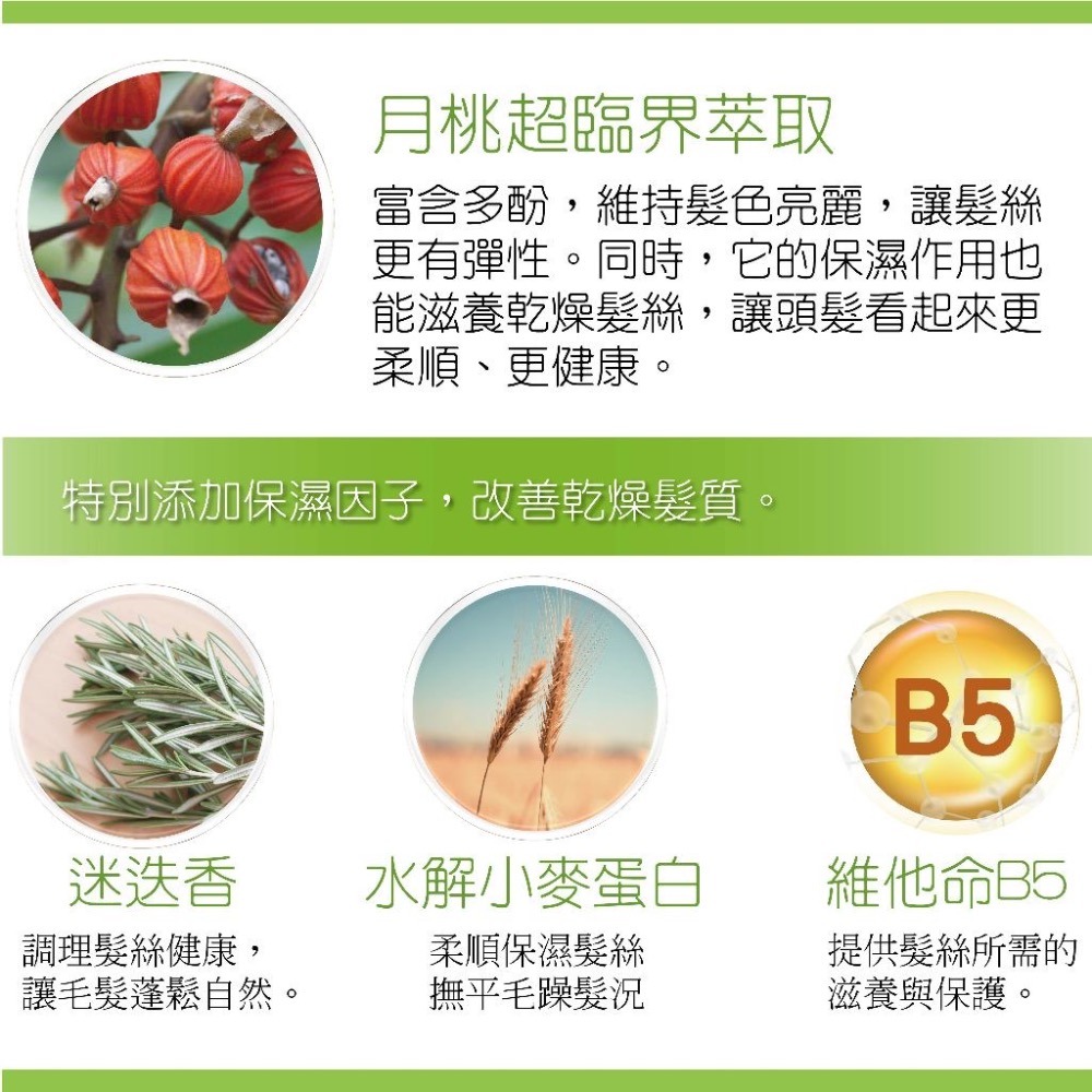【官方直營】月桃護髮素｜免沖洗｜乾濕兩用｜柔順不黏膩｜輕盈修護不扁塌｜台灣製-細節圖4