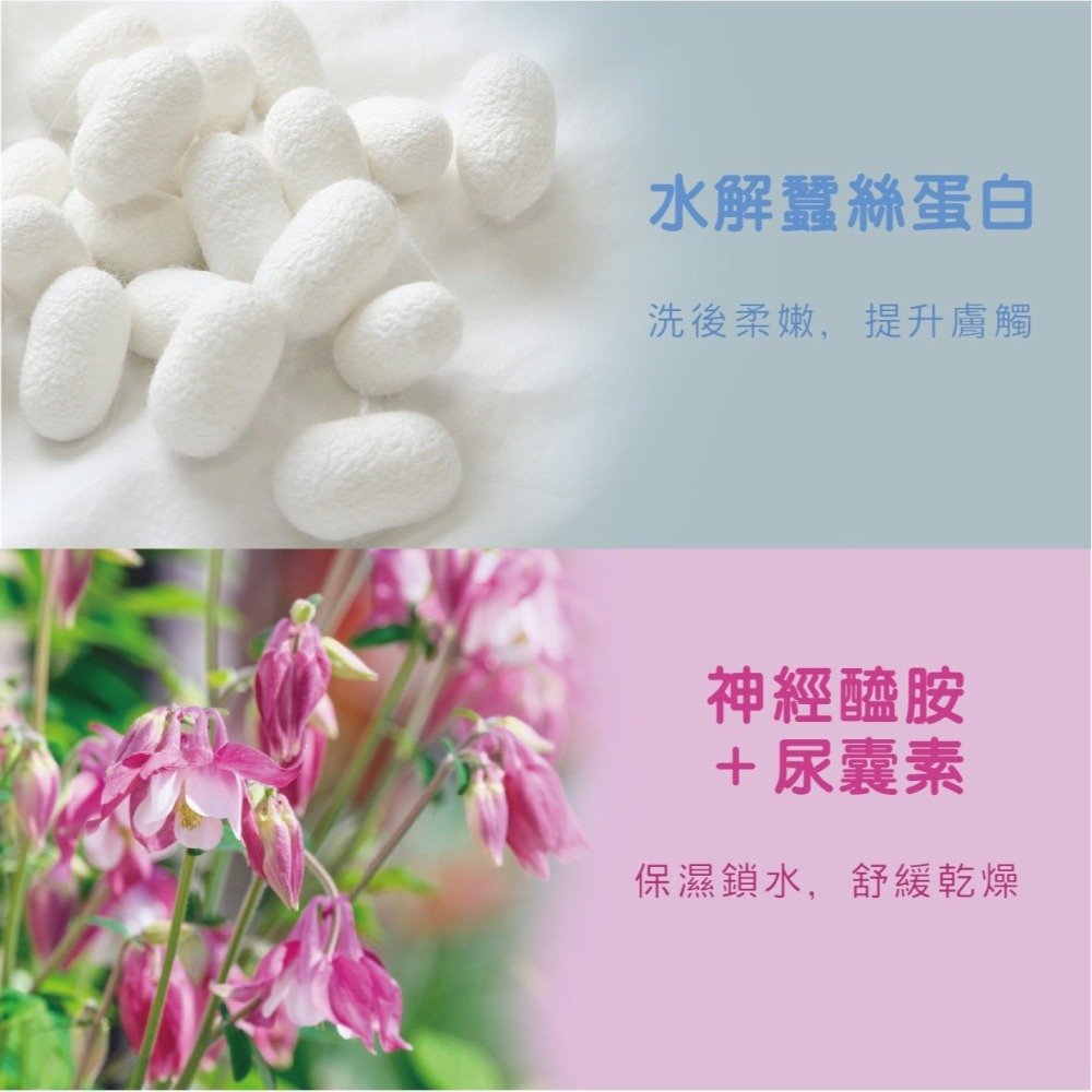 【官方直營】 月桃洗面乳 | 超臨界月桃萃取 | 清爽控油 不緊繃 保濕淨顏 潔顏乳-細節圖3