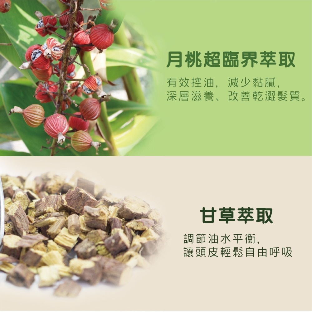 【月桃故事】月桃洗髮精 | 潔淨頭皮 柔順髮絲 | 改善油膩 髮質健康 | 官方直營-細節圖2