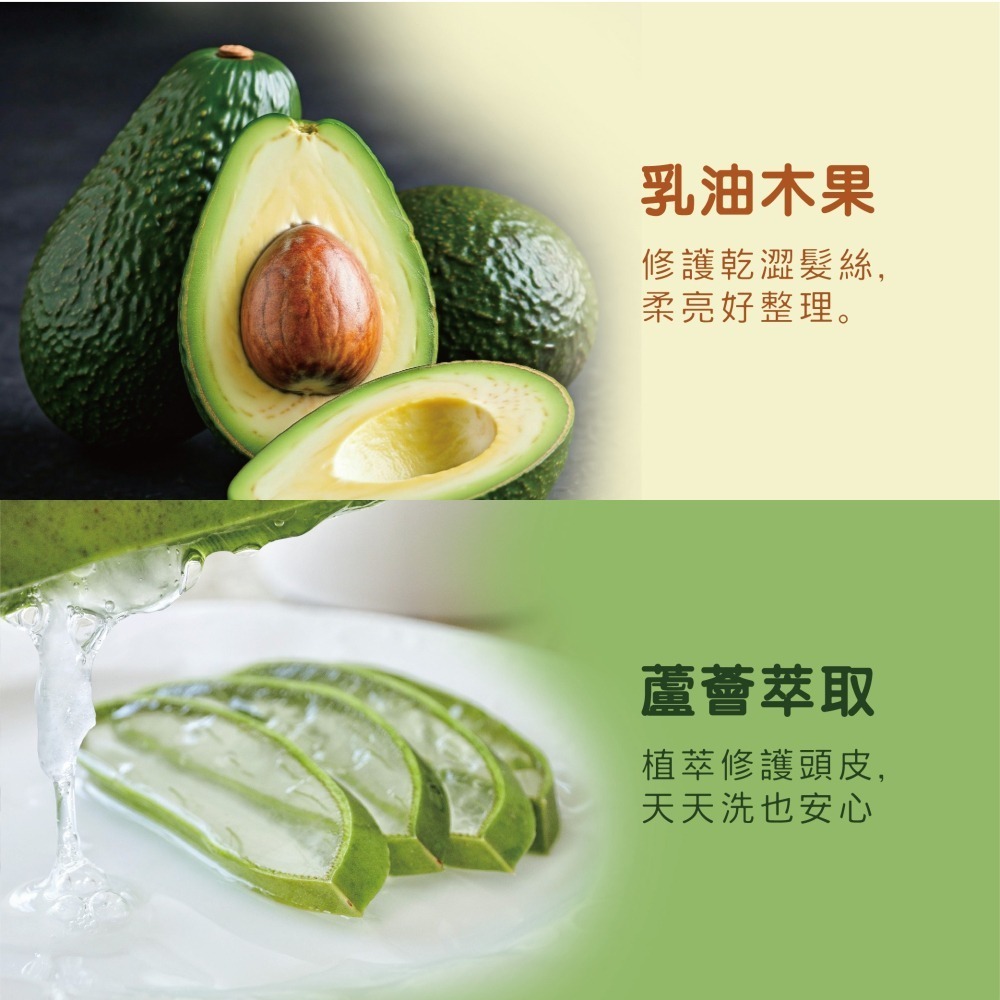 【月桃故事】月桃洗髮精 | 潔淨頭皮 柔順髮絲 | 改善油膩 髮質健康 | 官方直營-細節圖3