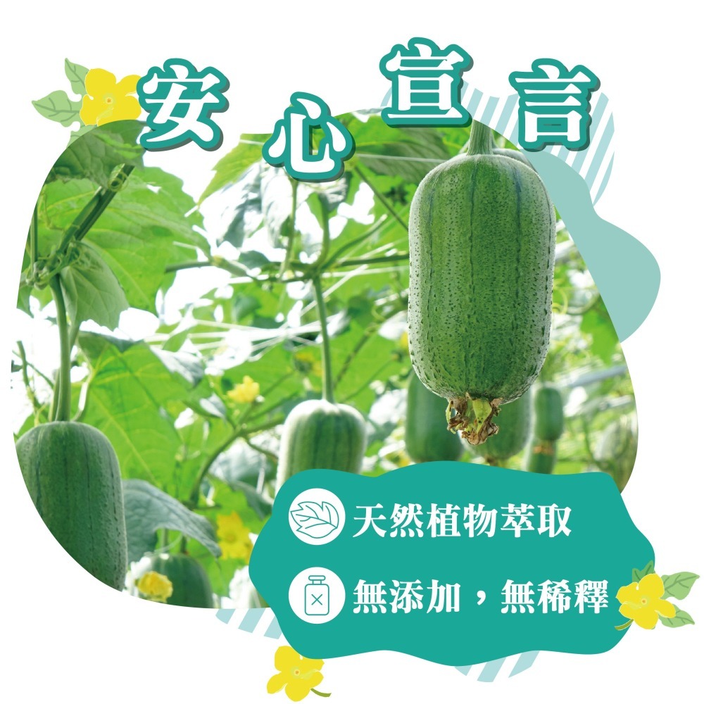 【官方直營】月桃故事館｜補水保濕絲瓜水組｜2年熟成×清爽舒膚不黏膩｜120ml+500ml-細節圖3