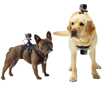 寵物運動相機胸帶 運動相機配件 gopro狗帶 犬背帶 兼容SJ4000小蟻 dji