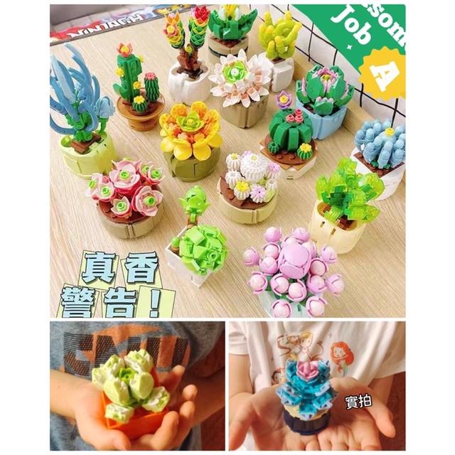 多肉積木 【台灣現貨】商檢字號：M55080 ●多肉植物 盲盒 積木盒植物小顆粒積木 (隨機) 盲盒 永生花積木盆栽積木-細節圖3