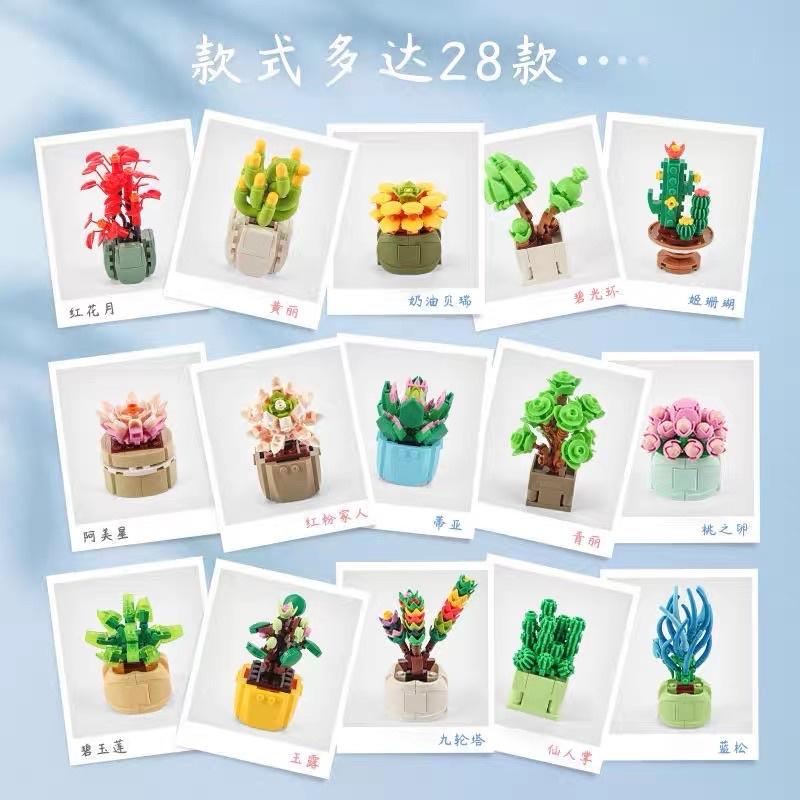 多肉積木 【台灣現貨】商檢字號：M55080 ●多肉植物 盲盒 積木盒植物小顆粒積木 (隨機) 盲盒 永生花積木盆栽積木-細節圖4