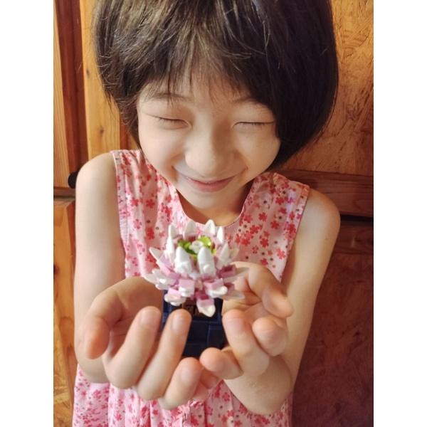 多肉積木 【台灣現貨】商檢字號：M55080 ●多肉植物 盲盒 積木盒植物小顆粒積木 (隨機) 盲盒 永生花積木盆栽積木-細節圖5