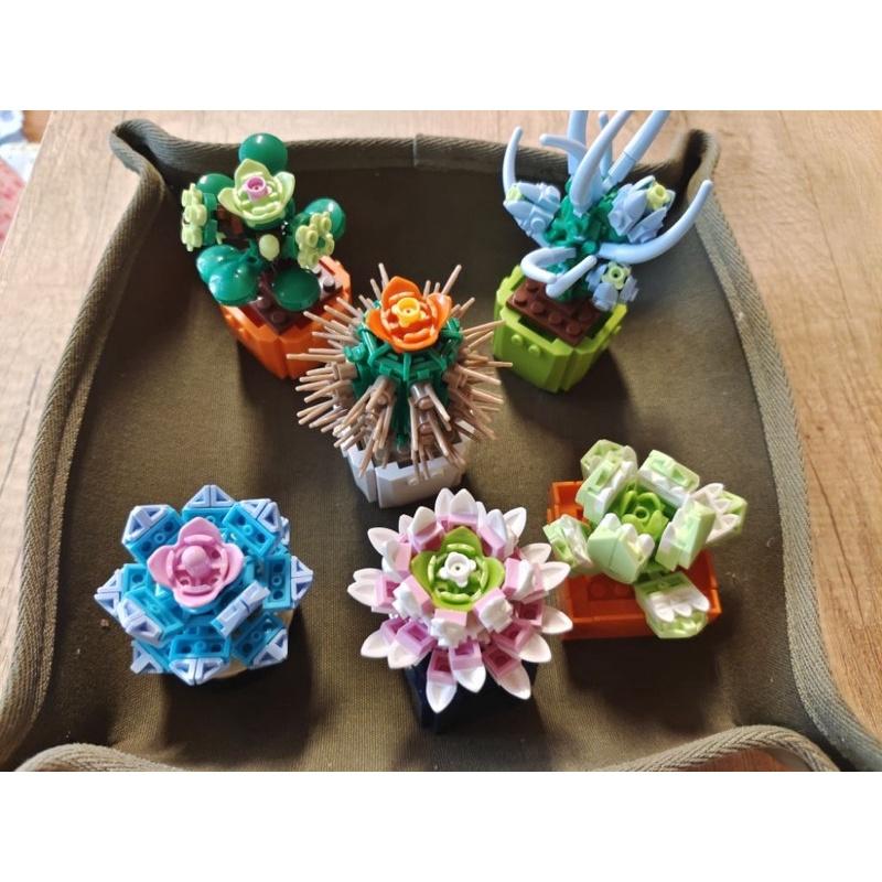 多肉積木 【台灣現貨】商檢字號：M55080 ●多肉植物 盲盒 積木盒植物小顆粒積木 (隨機) 盲盒 永生花積木盆栽積木-細節圖9